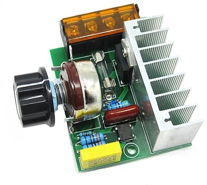 DaoRier Hochleistungs-elektronischer Regler 220V Leistungsregler 4000W SCR Regler Temperaturregelung Dimmgeschwindigkeit