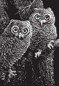 Amazon.com: Scratchboard Black 10 Sheet Pkg 11x13: Home & Kitchen