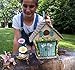 Mystic Garden Fairy Garden Kit; Believe House and 9 Fairy Garden Accessories for Indoor/Outdoor Decoration; Garden & Home Decor