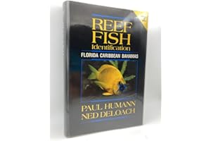 Reef Fish Identification: Florida Caribbean Bahamas