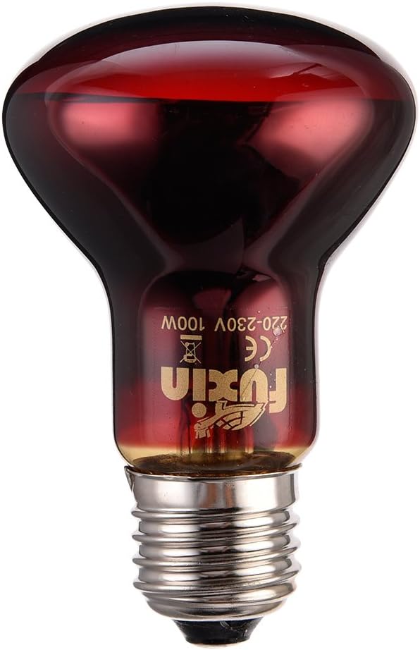 lampada termica a infrarossi per rettili