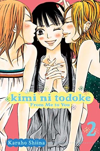 Amazon.com: St. Lunatic High School (Yoru nimo Makezu!) Volume 2