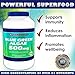 Klamath Blue Green Algae 500mg, Nutrient Rich Superfood, More Nutritious Than Spirulina and Chlorella, From Pure Lake Klamath, Contains Vitamins, Minerals, Enzymes, Amino Acids and EFAs, 60 Count
