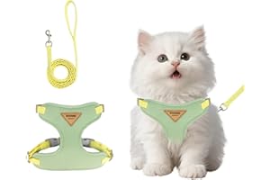 wanheart Cat Harness and Leash Set Escape-Proof Adjustable cat Leash and Harness Combo Suitable for All cat Breeds (Green, S)
