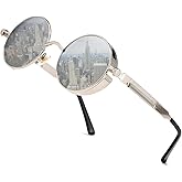 HJSTES Vintage Round Steampunk Sunglasses for Women Men Circle Gothic Glasses Retro Metal Frame