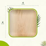 Eco Leaf 25 Disposable Palm Leaf Plates 4in Square Eco Friendly Oven Safe view 8