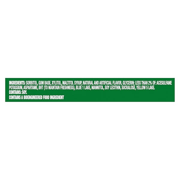 TRIDENT SPEARMINT SUGAR-FREE CHEWING GUM, 14 PIECES (PACK OF 1)