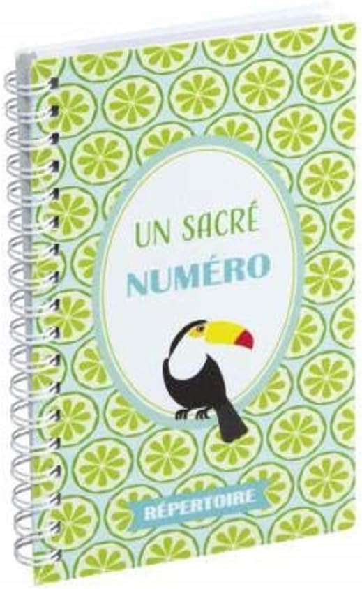 EXACOMPTA 13920E Dodo & Cath Address Book 9 x 16 cm