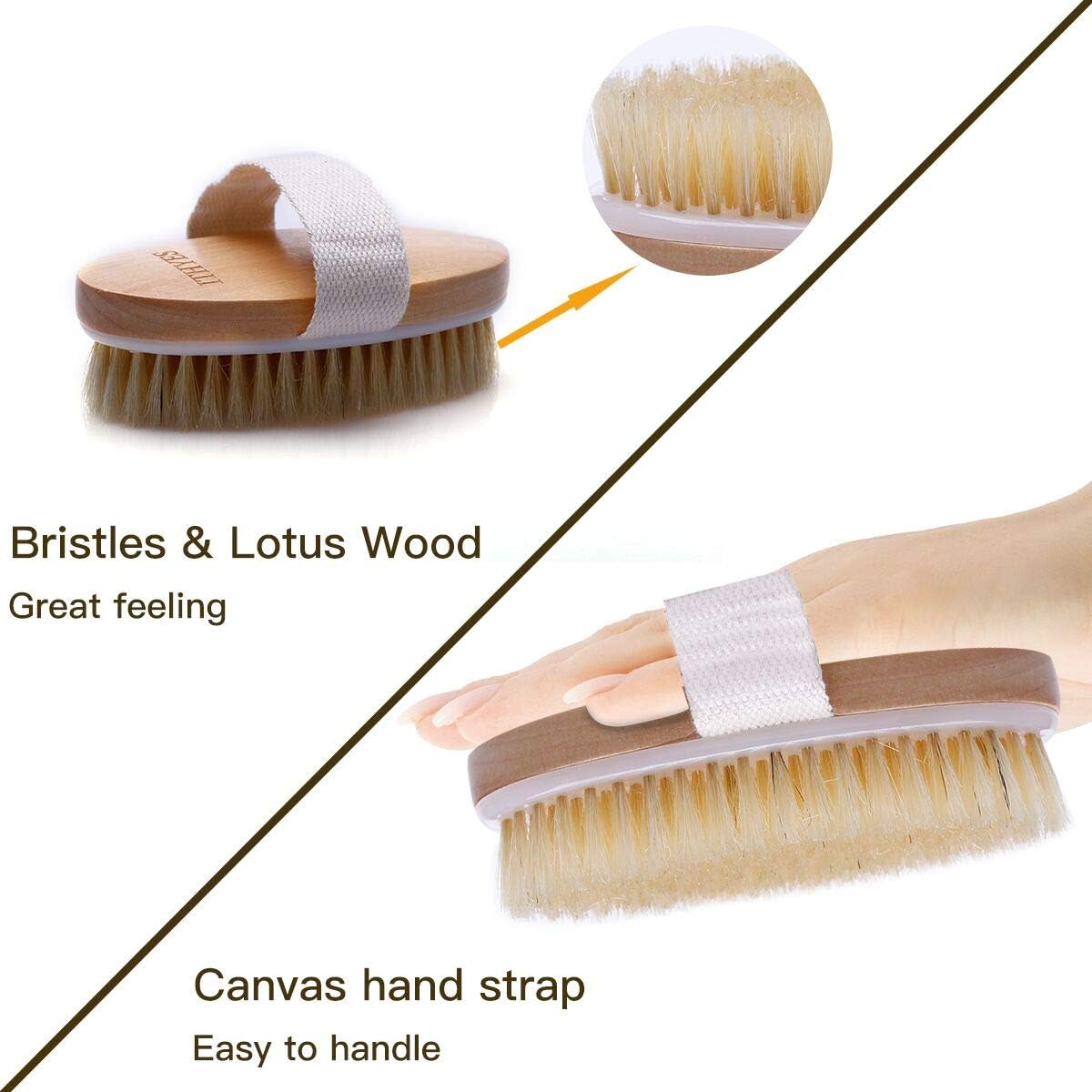 Shampoo Brush Bath Brush Kit Pack 2 of Hair Brush Silicon Scalp Massager and Dry Skin Body Brush Exfoliate Improve Blood Circulation for Daily Use or Gift - Image 5