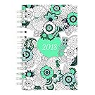 Blueline 2018 DoodlePlanTM Coloring Weekly/Monthly Planner, Botanica Designs, 8 x 5 inches (C2910.01-18)