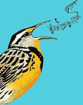 Wxlzy Nouvelle Peinture Par Numeros Peinture Alouette Numerique Photos Oiseaux Animaux Dessin Par Numeros Avec Huile Decoration De La Maison 16x Pouce Amazon Fr Jeux Et Jouets