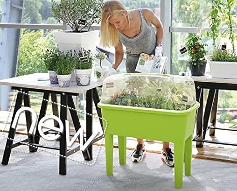 Prosperplast Huerto Urbano m con Invernadero 52 l, Pistacho, ZA18 ...