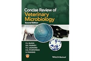 kindle best category lists