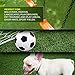 Imozel Premium Outdoor Artificial Lawn and Turf Grass 7.5'x10' - Decorative Synthetic Astroturf Grass Mats - Realistic Looking and Feeling, Weatherproof - for Landscaping, Homes, Businesses, Dogs