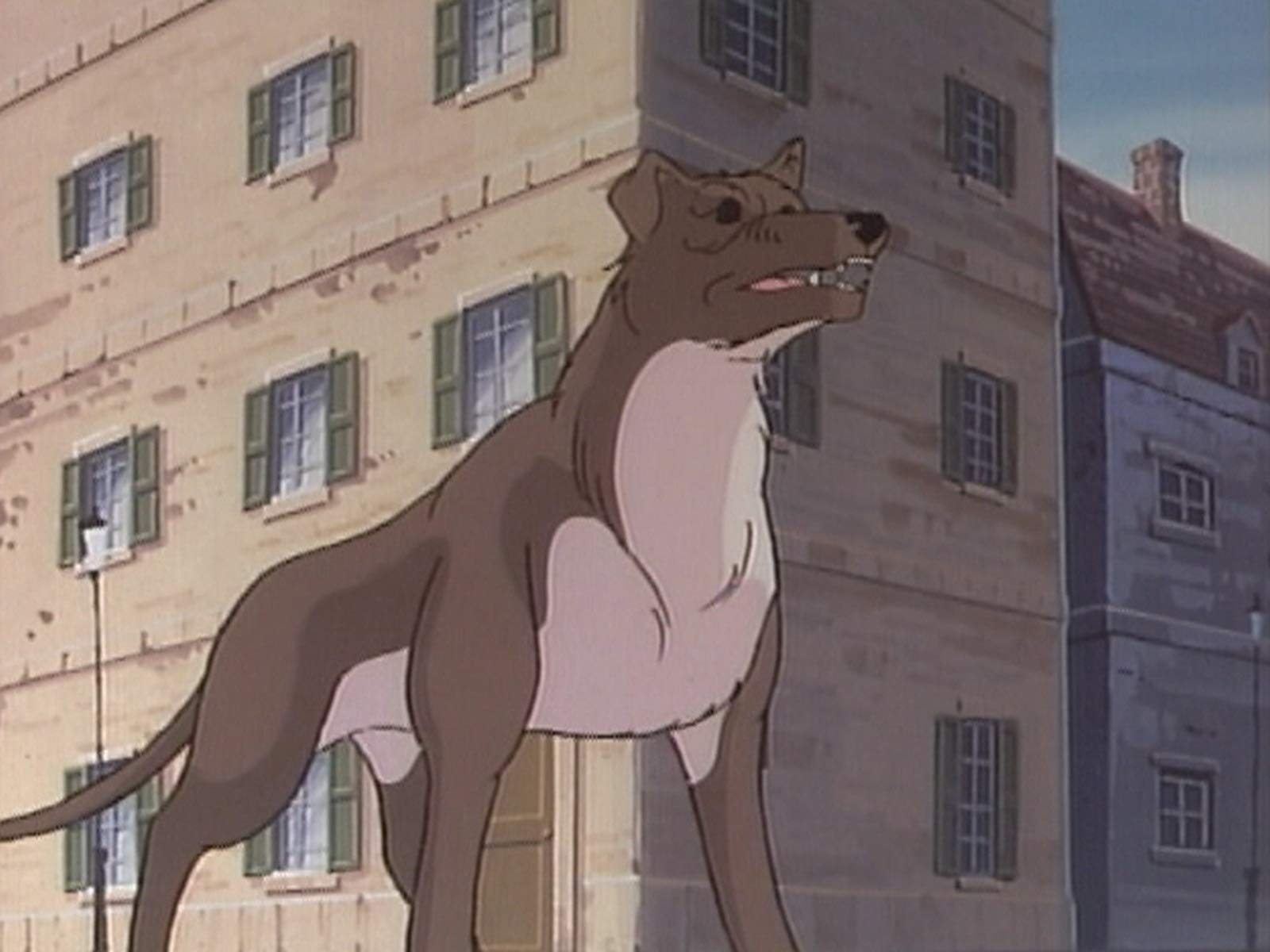 Amazon Co Jp シートン動物記を観る Prime Video