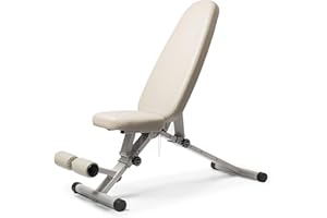 WeGym Fitness Bench, Adjustable, Collapsible, Comfortable, and Luxurious Home Gym Bench for Strength Training