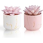 zenmag Artificial Succulent Plants, Fake Succulents Decor in 2 White/Pink Ceramic Pots, Small Plants for Office, Table, Desk, Bathroom, Bedroom, Living Room Shelves Decor, for Women