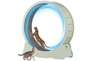 MIWOOYY Large Cat Exercise Wheel 40 inch - Mint Green Solid Wood Cat Wheel Exerciser for Indoor Cats, Safety Cat Treadmill with Lock & Minimized Gapdesign