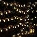 Icicle Globe Lights String, 33ft/10m 100 LED String Lights, Safe Low Voltage DC, String Light Bulbs for Home, Patio, Wedding, Xmas, Holiday Decoration (Warm White)