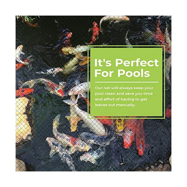 Anytime-Garden-4M-x-3M-POND-NET-COVER-Easy-Setup-Pool-and-Fishpond-Nylon-Netting-Protects-Fish-Ponds-and-Koi-from-Birds-and-Leaves-Durable-See-Through-Safety-Covers-Made-in-Europe Anytime Garden 4M x 3M POND NET COVER - Easy Setup Pool and Fishpond Nylon Netting Protects Fish, Ponds and Koi from…