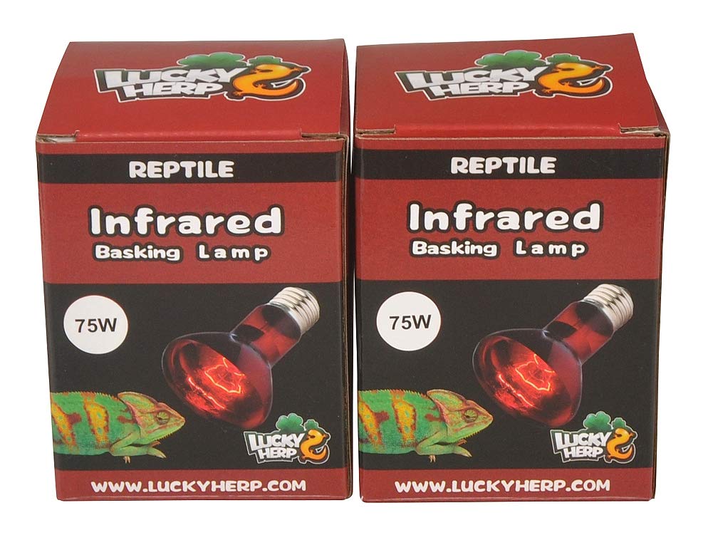 LUCKY HERP Reptile Infrared Basking Bulb Heat Lamp,2-Pack,E27,Screw Thread (75, Watts)