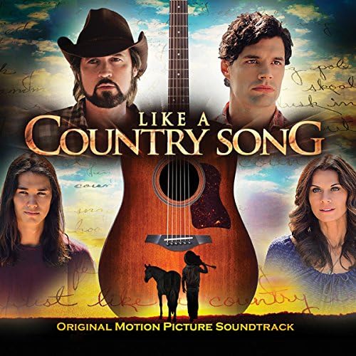 Like A Country Song Various Amazon.ca Music