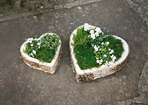 FRANK FLECHTWAREN Pflanzherz Birke, im 2er Set, für Hochzeit Valentin Geburtstaggesteck, Liebe – Bild 6
