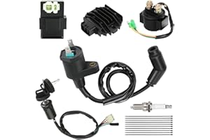 EOPOAYI Recon 250 Ignition Coil Switch Starter Solenoid Relay Kit Compatible with TRX250 Fourtrax 200 ATV TRX250EX TRX250TM TRX250TE 1997-2021 Quad 4 Wheeler Parts with Voltage Regulator CDI Box