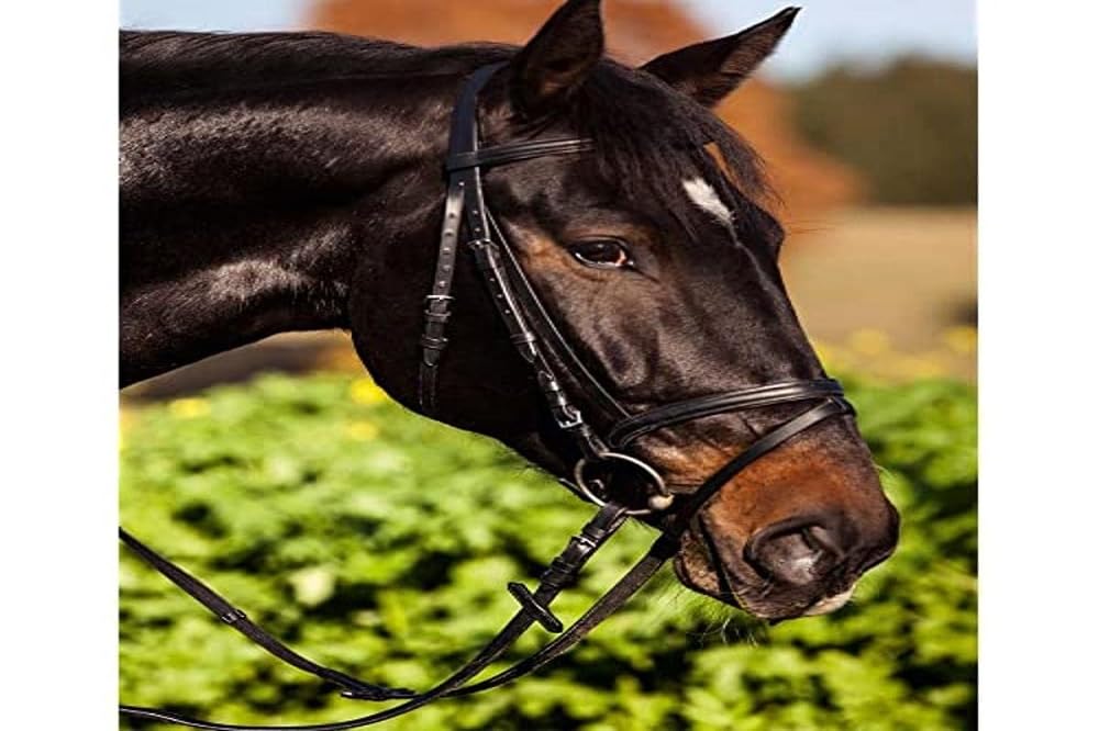 Kerbl 321743 Standard Bridle Leather for Thoroughbred Horses Brown