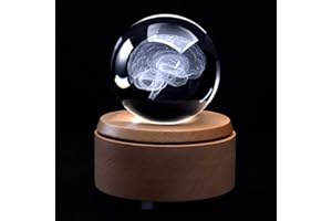 XINDAM 3D Human Brain Anatomical Model Paperweight(Laser Etched) in Crystal Glass Ball Science Gift (Included LED Base)
