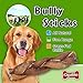 GigaBite 6 Inch Odor-Free All Natural Braided Bully Sticks by Best Pet Supplies - Pack of 10