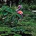 Garden Solar Lights Outdoor Solar Flamingo Garden Stake Light Decorative for Pathway, Patio, Lawn, Walkway and Yard