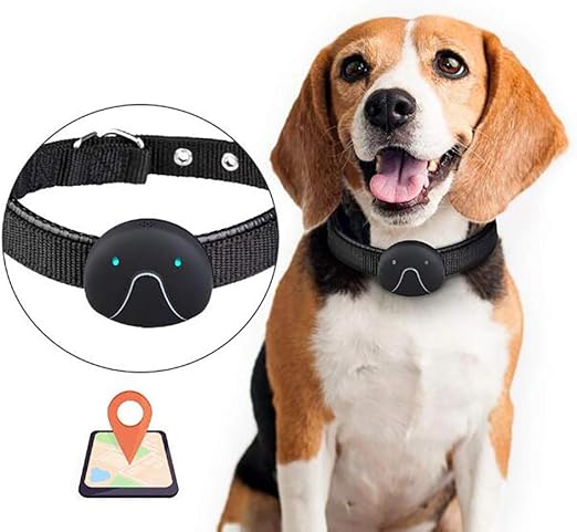 beagle tracking collars