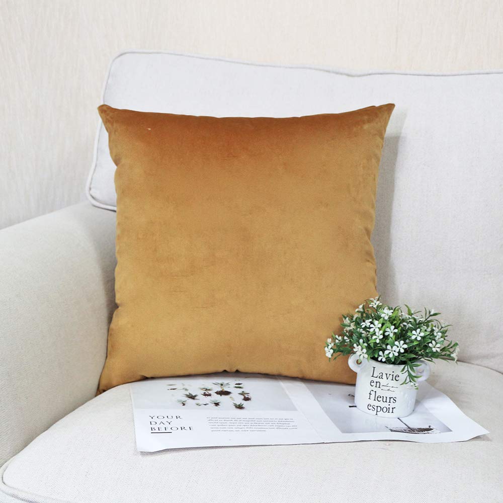 RKAAS HOME Pack of 4 Super Soft Decorative Luxurious Dutch Velvet Square Cushion Covers for Living Room Sofa Couch Bed 45cm x 45cm 18x18 Inches (Pack of 4 - Amber Gold)