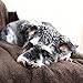 PAWZ Road Dog Blanket, Super Soft and Warm Fleece Pet Blanket, No Shedding and Double Layers Couch Bed Cover for Dogs and Cats