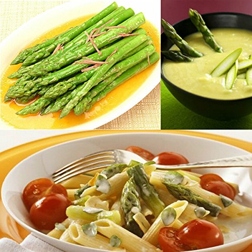 Asparagus seed - 20PCS Garden Vegetable Asparagus Officinalis Seeds by DOM - Asparagus seed
