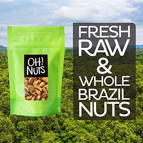 2 Brazil+Nuts+Raw+Jumbo+Pound