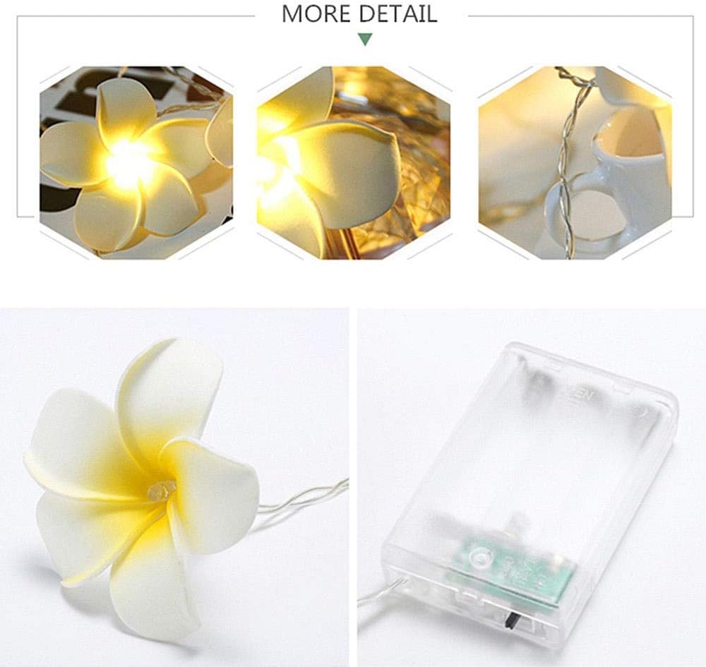 Fantes Plumeria String Lights - Image 4