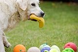 Petface Latex Tomato Soft Chew Dog Toy Large view 5