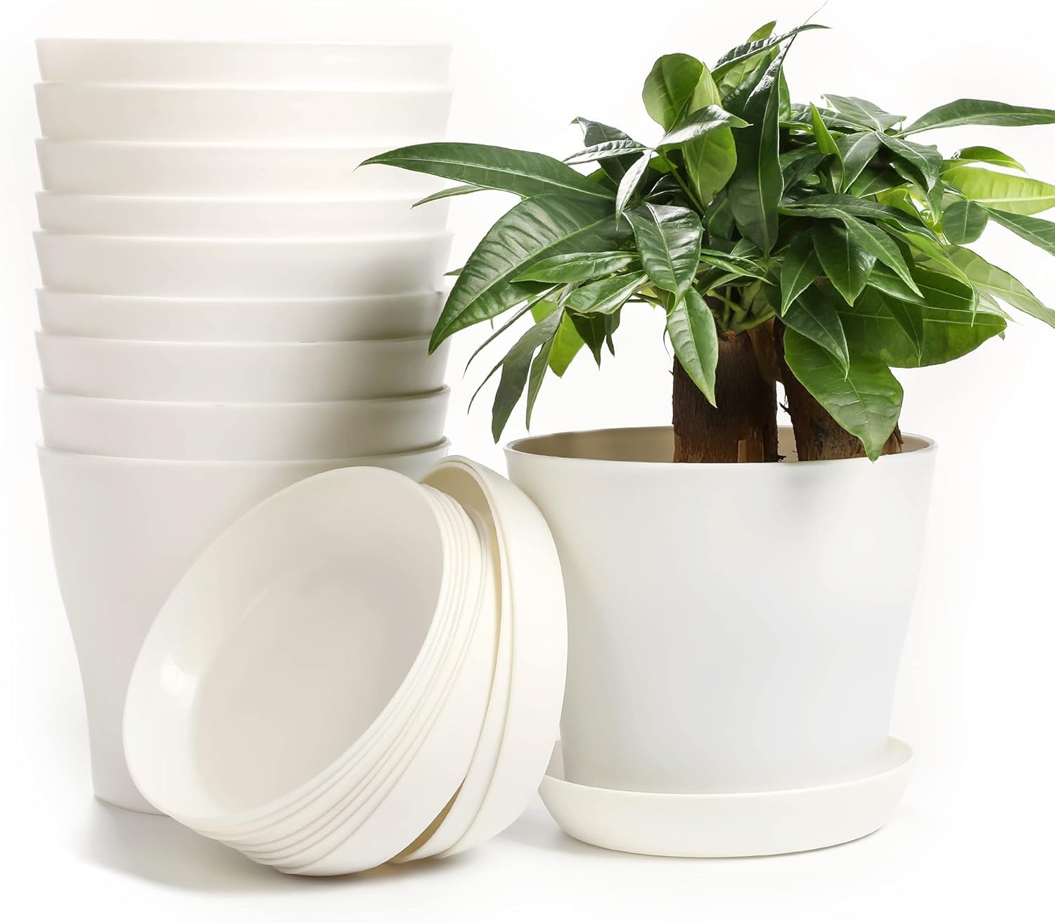 MUETKNYE 10 Pcs 5.5" Plastic Planters Indoor Flower Plant Pots, Medium Flower Seedlings Nursery Pot/Planter/Flower Pot with Pallet, Modern Decorative Gardening Containers (White, Medium)