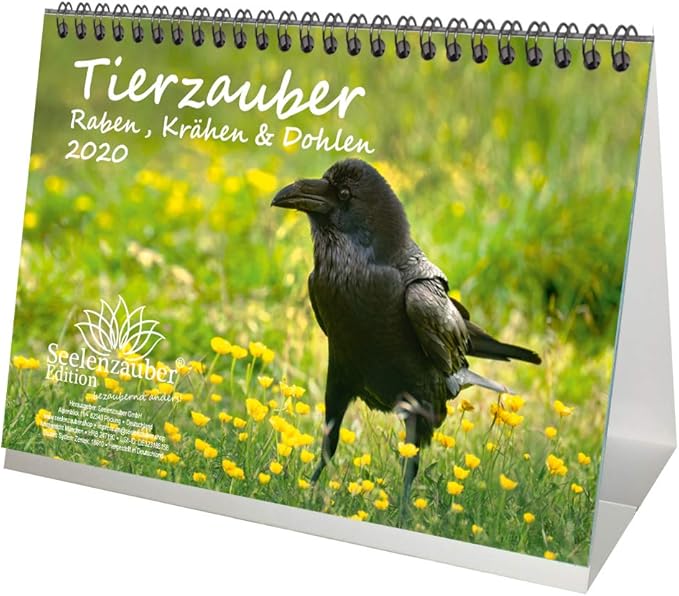 Tierzauber Raben, Krähen und Dohlen DIN A5 Kalender/Tischkalender 2020