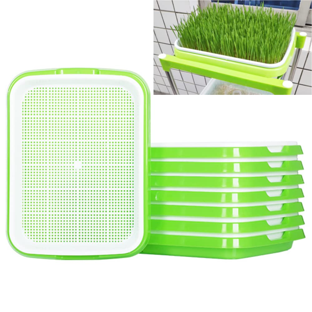 STCRERAG Seed Sprouter Tray,5Pcs Sprouting Tray with Green Color,Seedling Tray Germ Trays Greenhouse,Seed Sprouter Germination Tray Kit for Garden Home