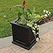 Mayne Cape Cod 14-Inch Square Planter – Self-Watering, Weather-Resistant Planter for Flowers – Durable Outdoor Design for Patio, Porch, or Entryway