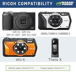 Wasabi Power DB-110 Battery (2-Pack) and Charger
