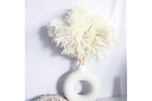 KOCAT White Pampas Grass for Home Decor - Elegant Boho Decor - Premium Quality Pampas Grass Stems - Perfect for House, Nursery, Western, Wedding, Table, and Bohemian Decor (20PCS)