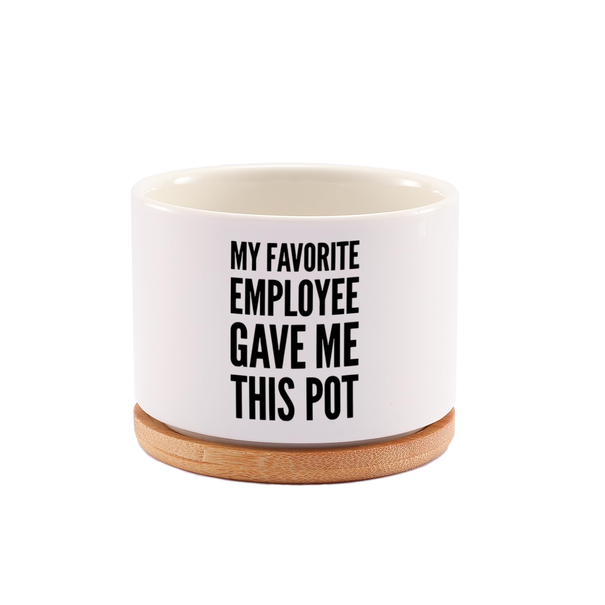 Photo 1 of My Favorite Employee Gave Me This Pot Ceramic Succulent Plant Pot with Bamboo Tray Round Boss Gifts from Employees Coworker Home Office Decor Plant Lover 3.5 Inch White (No Plants)