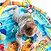 Baby Einstein Play Gym, Nautical Friends
