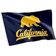 Desert Cactus University of California Berkeley UCB Flag - 3 x 5 Feet Golden Bears Banner, Indoor/Outdoor Durable Fabric, 100% Polyester Design (Style 4)