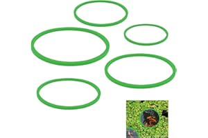 Jeffdad 5pcs Aquarium Floating Plant Rings, Foam Floaters Plant Corral Fish Feeding Ring Aquarium Feeding Ring, for Intercepts Floating Plants(Green)