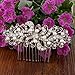 EVER FAITH Bridal Silver-Tone Flower Cream Simulated Pearl Clear Austrian Crystal Hair Side Comb